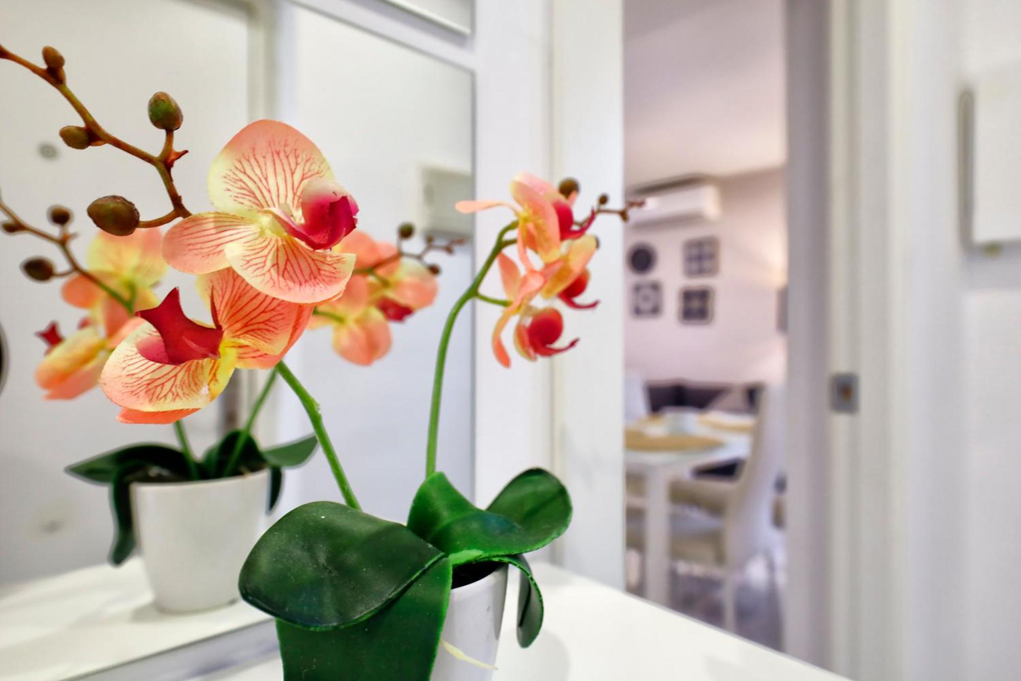 Encanto En La Juderia: Apartamento Con Patio Кордова Экстерьер фото
